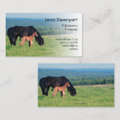 Pferd und Fohlen auf einer Wiese Visitenkarte (Vorne/Hinten)