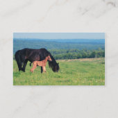 Pferd und Fohlen auf einer Wiese Visitenkarte (Rückseite)