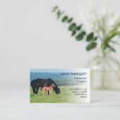 Pferd und Fohlen auf einer Wiese Visitenkarte (Stehend Vorderseite)