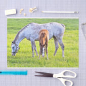 Pferd- und Fotopapier  Seidenpapier (Handwerk)