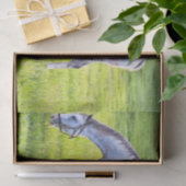 Pferd- und Fotopapier  Seidenpapier (Geschenk)