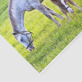 Pferd- und Fotopapier  Seidenpapier (Ausschnitt)