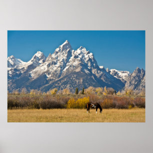 Pferd und Grand Tetons, Moose Head Ranch Poster