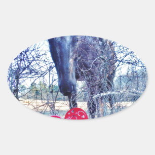 Pferd und Herz Ovaler Aufkleber