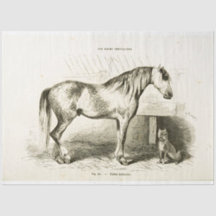 Pferd und Hund Ephemera Decoupage Vintage Französi Seidenpapier