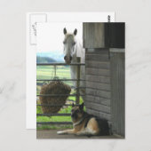 Pferd und Hund Postkarte (Vorne/Hinten)