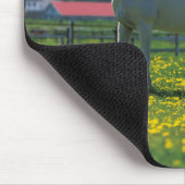 Pferd und ihr Fohlen auf einem Feld stehend Mousepad (Ecke)