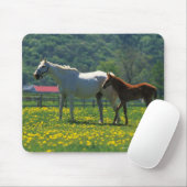 Pferd und ihr Fohlen auf einem Feld stehend Mousepad (Mit Mouse)