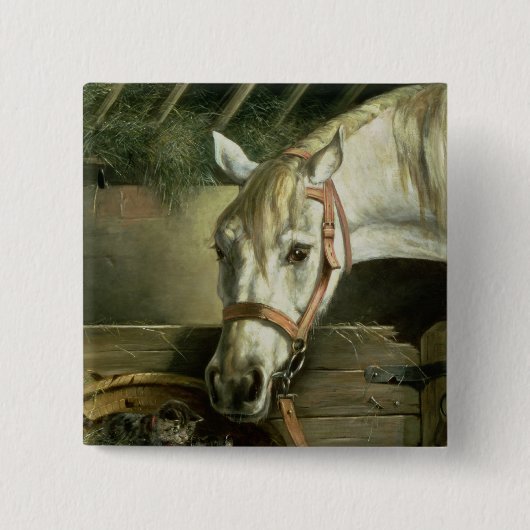 Pferd und Kätzchen, 1890 Button (Vorderseite)