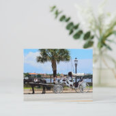 Pferd und Kutsche St. Augustine, Fl. Postkarte (Stehend Vorderseite)