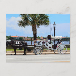 Pferd und Kutsche St. Augustine, Fl. Postkarte