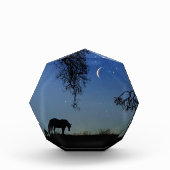 Pferd und Mond Feine Kunst Fotoblock (Vorderseite)