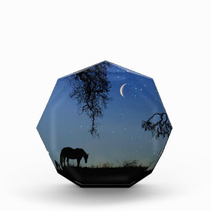 Pferd und Mond Feine Kunst Fotoblock