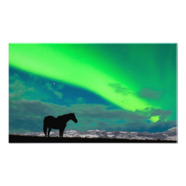 Pferd und Nordlicht, Yukon Fotodruck