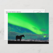 Pferd und Nordlicht, Yukon Postkarte (Vorne/Hinten)