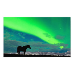 Pferd und Nordlichter, Yukon Fotodruck