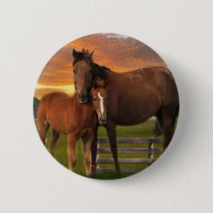 Pferd und Pony Button
