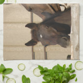 Pferd und Pony Handtuch (Gefaltet)