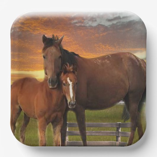 Pferd und Pony Pappteller (Vorderseite)