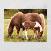 Pferd und Pony Postkarte (Vorderseite)