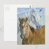 Pferd und Pony Postkarte (Vorne/Hinten)