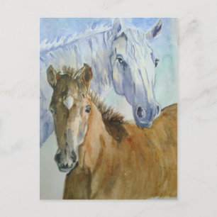 Pferd und Pony Postkarte