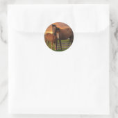 Pferd und Pony Runder Aufkleber (Tasche)