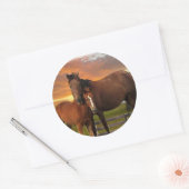 Pferd und Pony Runder Aufkleber (Umschlag)