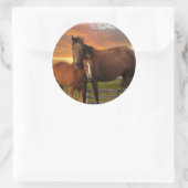 Pferd und Pony Runder Aufkleber (Tasche)