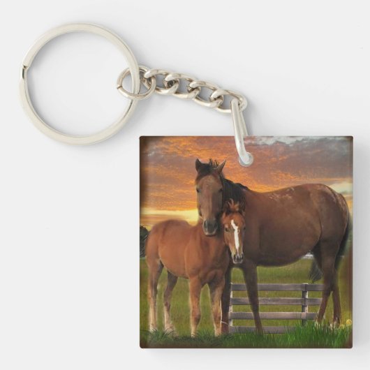 Pferd und Pony Schlüsselanhänger (Vorderseite)