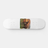 Pferd und Pony Skateboard (Horizontal)