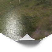 Pferd und Reiten in den Dünen Fotodruck (Ecke)