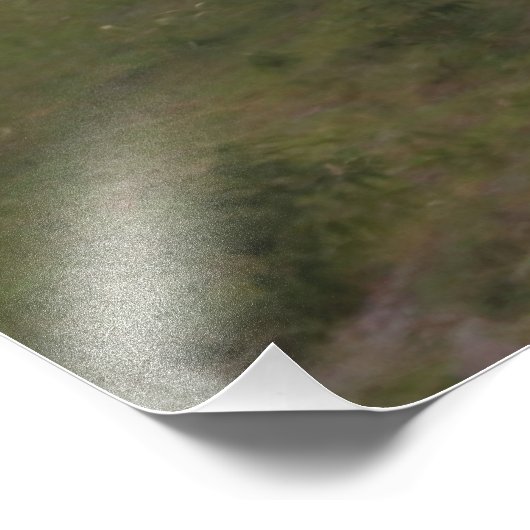 Pferd und Reiten in den Dünen Fotodruck (Ecke)