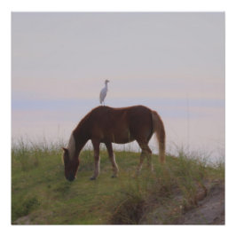 Pferd und Reiten in den Dünen Fotodruck