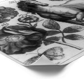 Pferd und Rose Poster (Ecke)