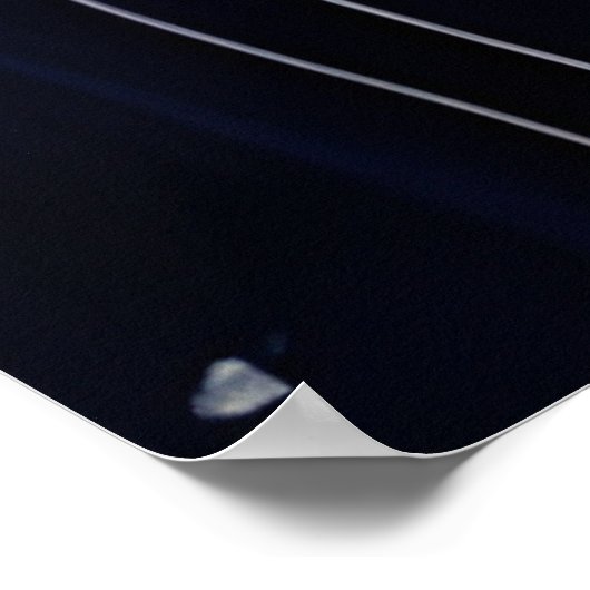 Pferd und Rose Poster (Ecke)