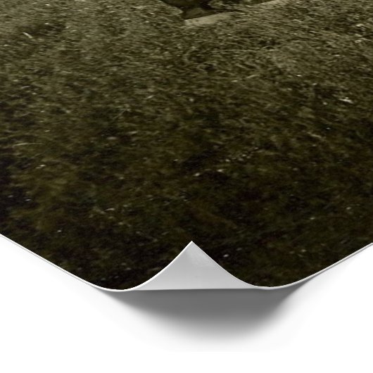 Pferd und Schatten Poster (Ecke)