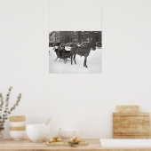 Pferd und Schlitten, 1935. Vintages Foto Poster (Küche)