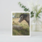 Pferd und Schweine Postkarte (Stehend Vorderseite)