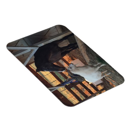Pferd und Ziege auf dem Bauernmagnet Magnet (Rechte Seite)
