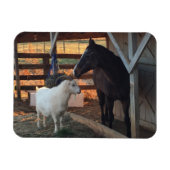 Pferd und Ziege auf dem Bauernmagnet Magnet (Horizontal)