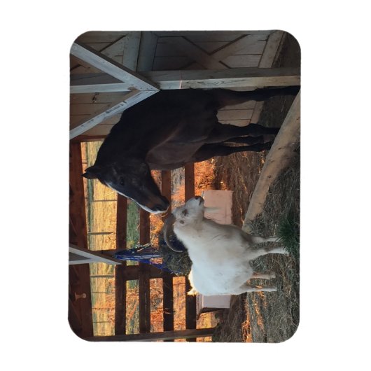 Pferd und Ziege auf dem Bauernmagnet Magnet (Vertikal)