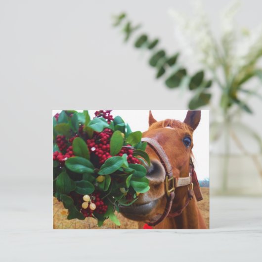 Pferd unter Mistletoe küssen Postkarte (Stehend Vorderseite)