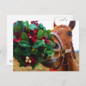 Pferd unter Mistletoe küssen Postkarte (Vorne/Hinten)