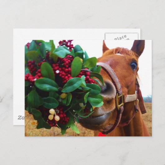 Pferd unter Mistletoe küssen Postkarte (Vorne/Hinten)