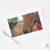 Pferd unter Mistletoe küssen Rechteckiger Aufkleber (Umschlag)