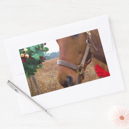 Pferd unter Mistletoe küssen Rechteckiger Aufkleber (Umschlag)