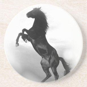 Pferd Untersetzer