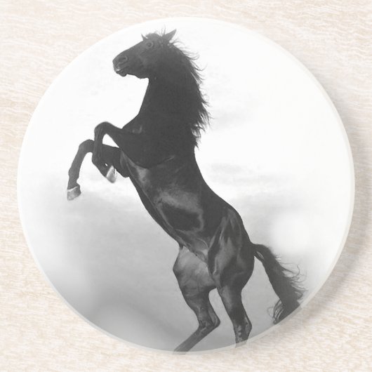 Pferd Untersetzer (Vorne)