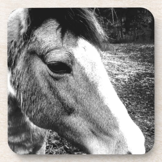 Pferd Untersetzer (Vorderseite)